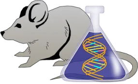 Mouse tPA Genetically Deficient Liver