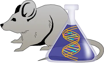 Mouse tPA Genetically Deficient Liver