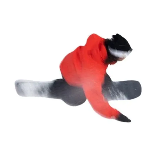 Nidecker Thruster Snowboard