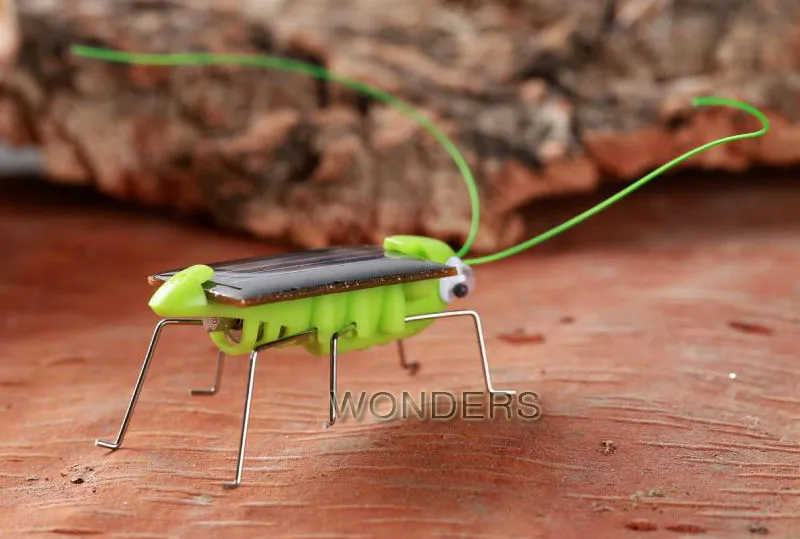 Solar Grasshopper Insect Bug Moving Toy, Lovely funny Mini Solar toy  Insect Teaching Fun Gadget Toy Gift