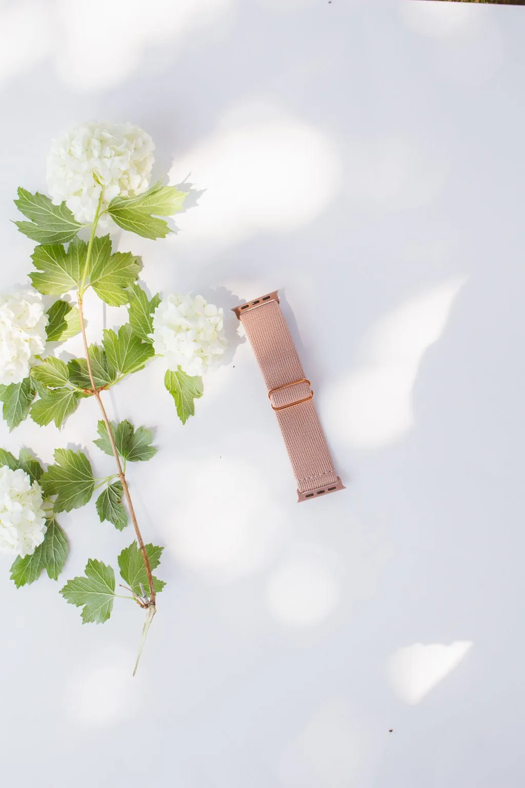 Toasted Rose Adjustable Elastic Watch Band